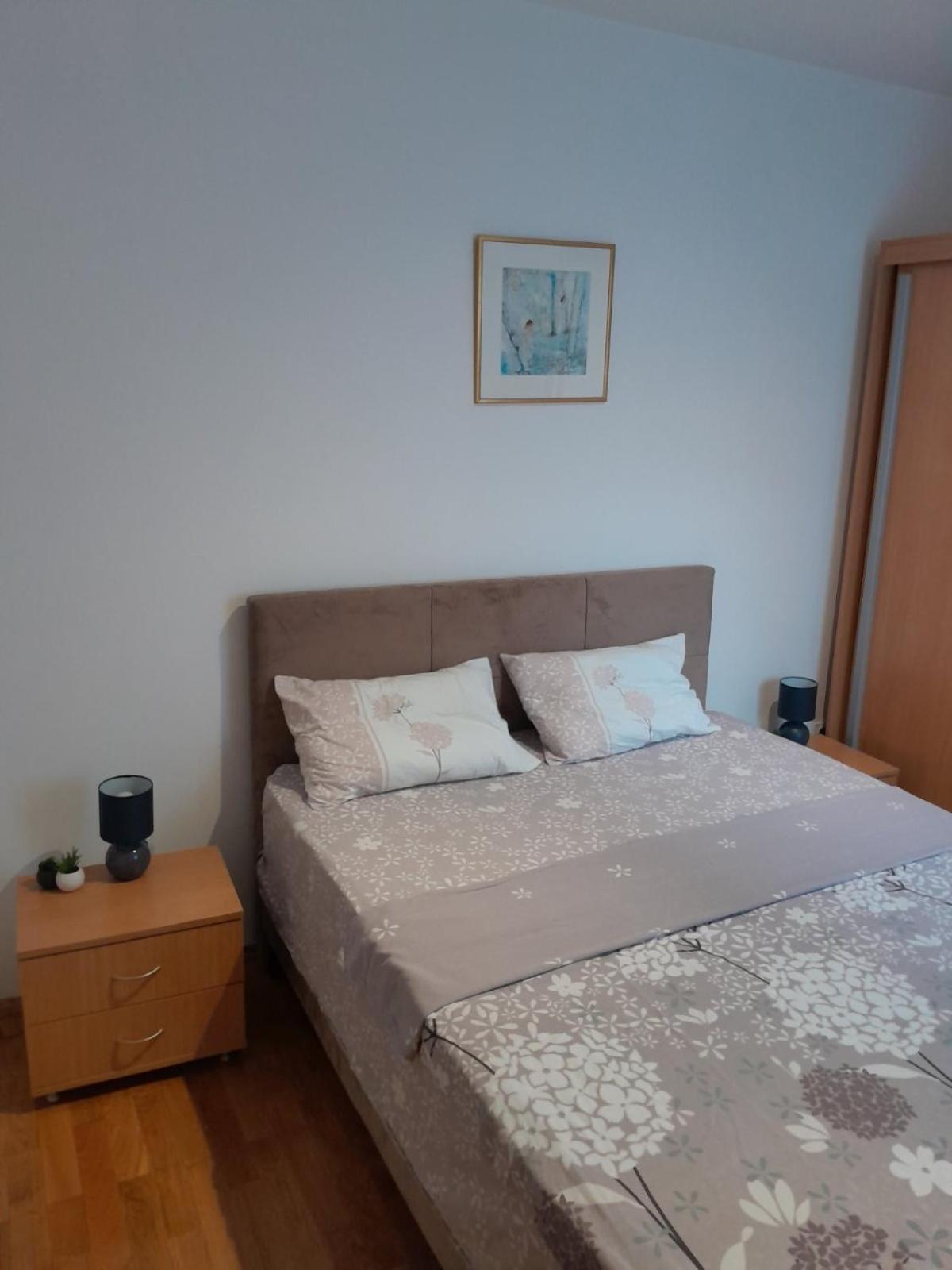 Apartman Klara Petrovac Exteriér fotografie
